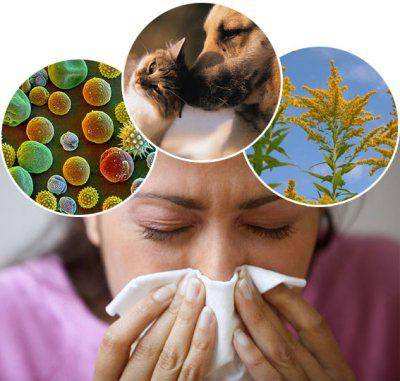 аллергия или простуда как определить у взрослого