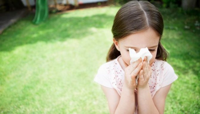 Аллергия на грибок alternaria alternata: лечение
