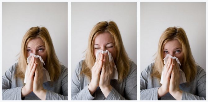 Аллергия на плесень симптомы и лечение