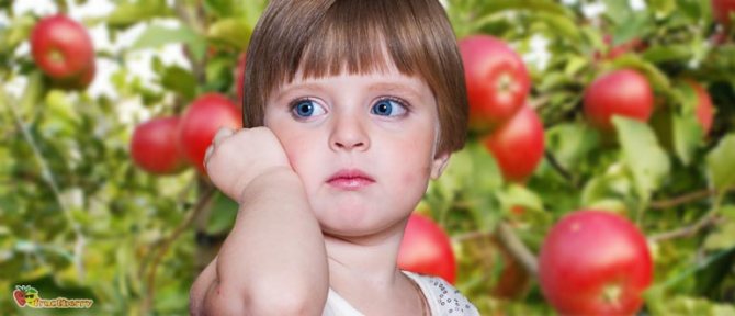аллергия на яблоки у детей
