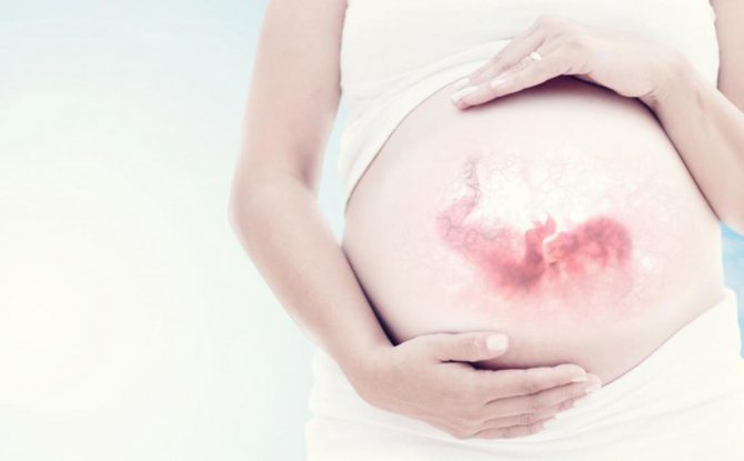 Что происходит с иммунной системой во время беременности?