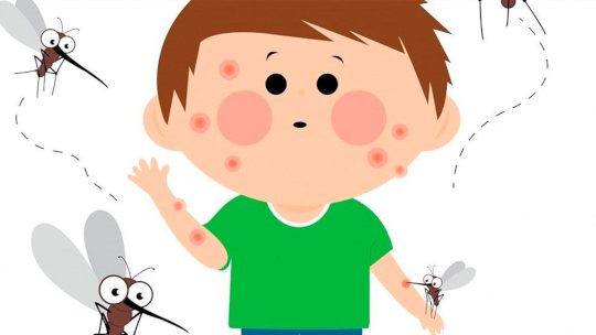 диагностика аллергии на комара