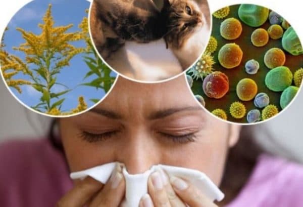 Факторы вызывающие аллергию на лице
