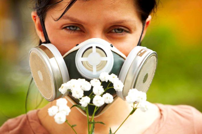 Как проявляется аллергия на цветы