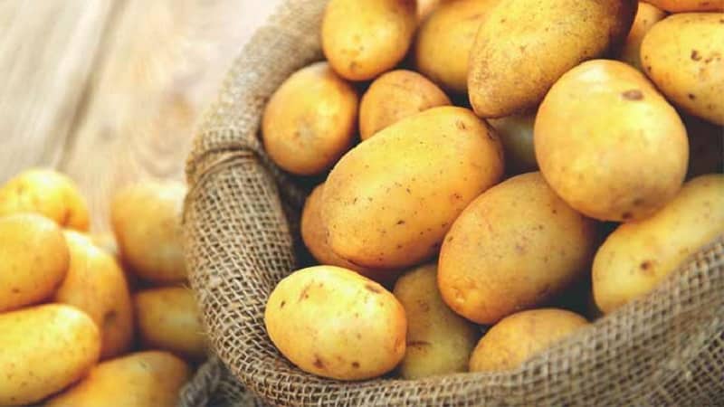 How does potato allergy manifest in children and adults?