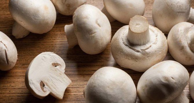 Can you be allergic to mushrooms?