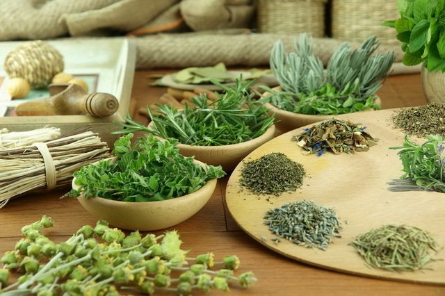 Herbs are one of the effective remedies for treating asthma.