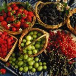 healthy berries