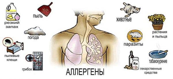 Популярные аллергены