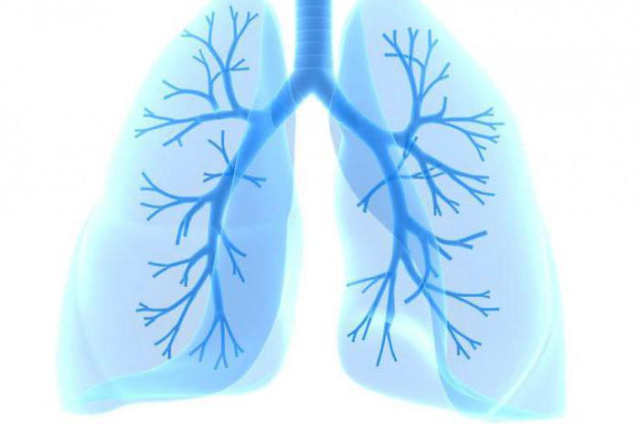 признаки бронхиальной астмы кашлевая форма у детей