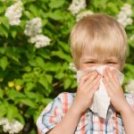 Сенная лихорадка - симптомы и лечение аллергии народными средствами
