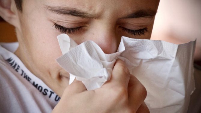Симптомы аллергии на пыльцу схожи с простудными