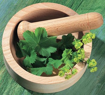 Существует множество рецептов приготовления домашних мазей против псориаза. Особой популярностью пользуются целебные травы.