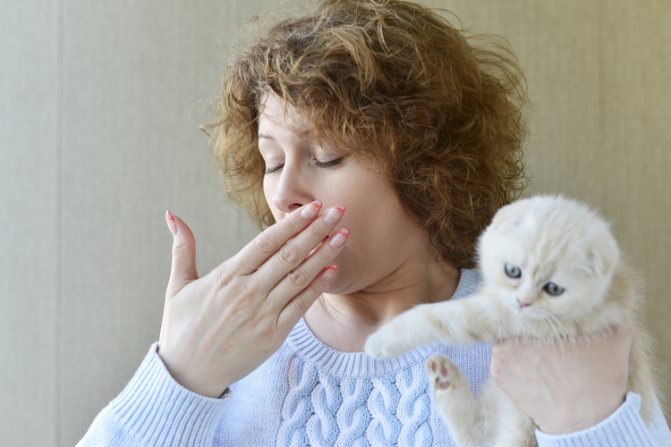 В последние годы отмечается увеличение распространенности аллергии на домашних животных