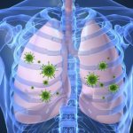 Воздействие аллергена на дыхательную систему человека