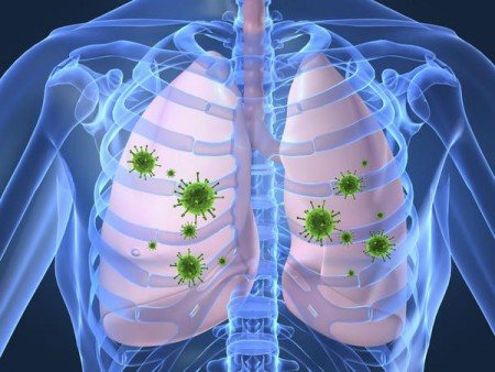 Воздействие аллергена на дыхательную систему человека